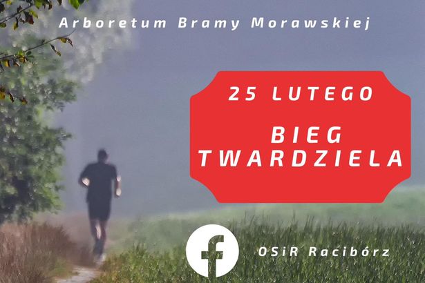 Zapisy Na Xii Bieg Twardziela Wci Trwaj Radio Vanessa Fm