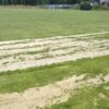 Problemy z boiskiem Polonii Niewiadom