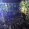 Pawłów: Kia w polu kukurydzy