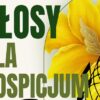 Koncert charytatywny „Głosy dla Hospicjum”